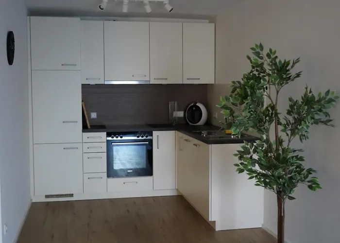 Rosengarten Lejlighed Mommenheim